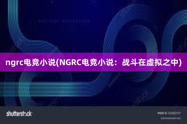 ngrc电竞小说(NGRC电竞小说：战斗在虚拟之中)