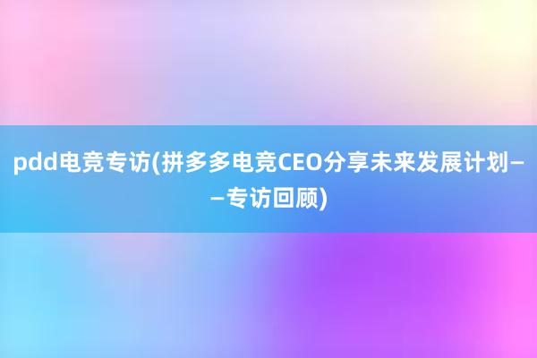 pdd电竞专访(拼多多电竞CEO分享未来发展计划——专访回顾)