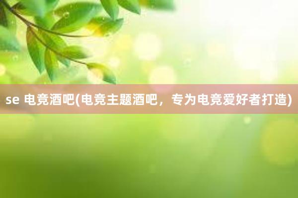 se 电竞酒吧(电竞主题酒吧，专为电竞爱好者打造)