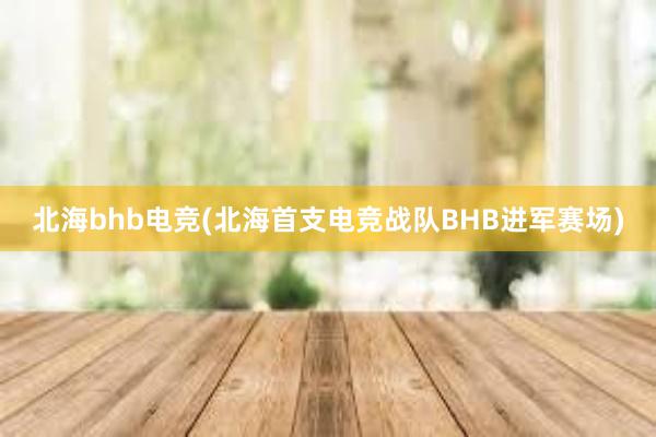 北海bhb电竞(北海首支电竞战队BHB进军赛场)