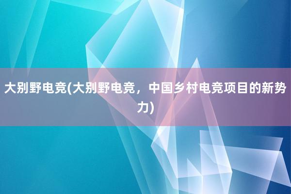 大别野电竞(大别野电竞，中国乡村电竞项目的新势力)