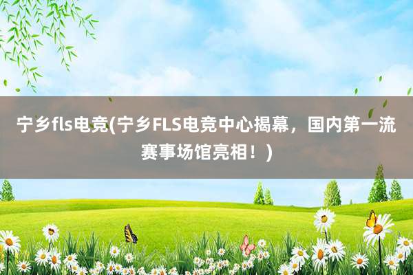 宁乡fls电竞(宁乡FLS电竞中心揭幕，国内第一流赛事场馆亮相！)