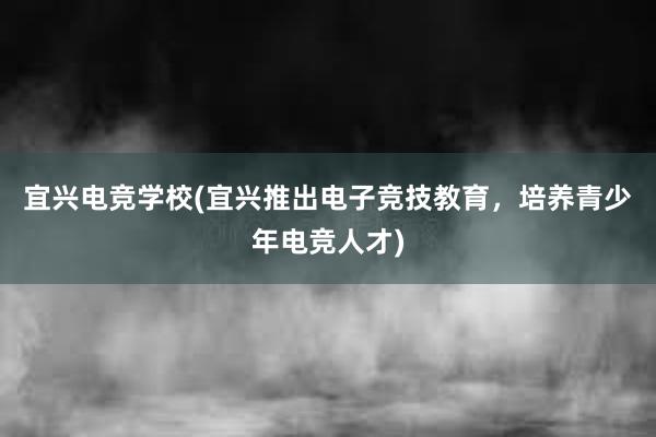 宜兴电竞学校(宜兴推出电子竞技教育，培养青少年电竞人才)