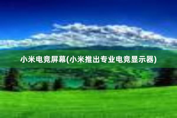 小米电竞屏幕(小米推出专业电竞显示器)