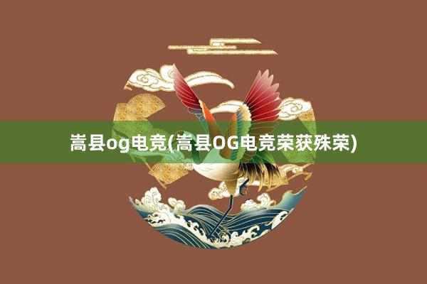 嵩县og电竞(嵩县OG电竞荣获殊荣)