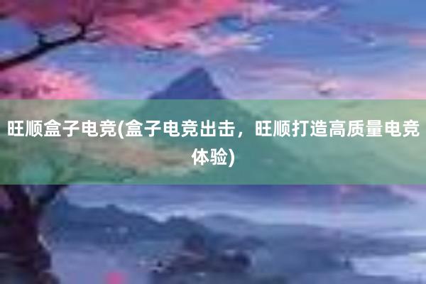 旺顺盒子电竞(盒子电竞出击，旺顺打造高质量电竞体验)