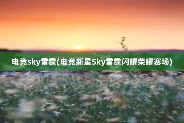 电竞sky雷霆(电竞新星Sky雷霆闪耀荣耀赛场)