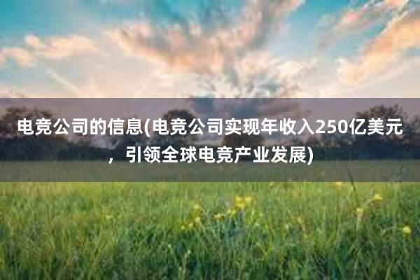 电竞公司的信息(电竞公司实现年收入250亿美元，引领全球电竞产业发展)