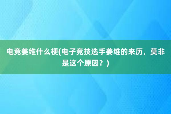 电竞姜维什么梗(电子竞技选手姜维的来历，莫非是这个原因？)