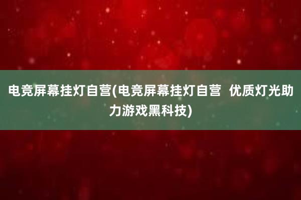 电竞屏幕挂灯自营(电竞屏幕挂灯自营  优质灯光助力游戏黑科技)