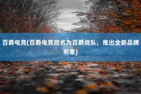 百爵电竞(百爵电竞改名为百爵战队，推出全新品牌形象)