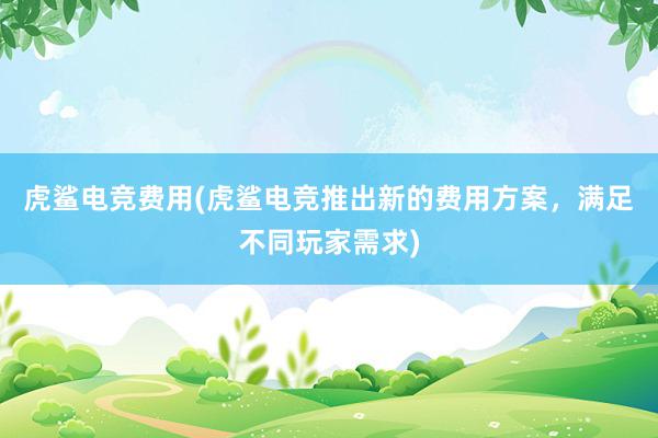 虎鲨电竞费用(虎鲨电竞推出新的费用方案，满足不同玩家需求)