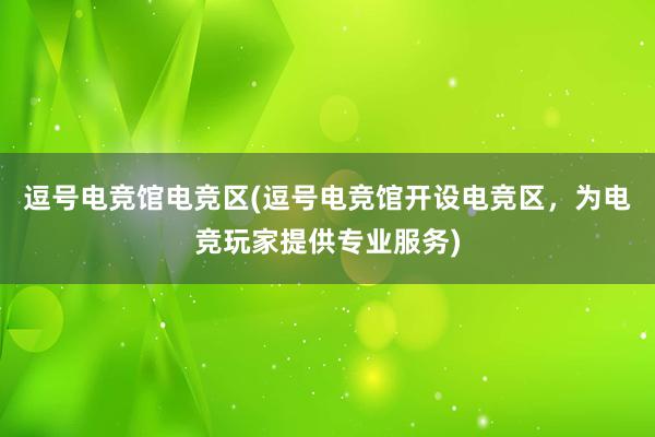 逗号电竞馆电竞区(逗号电竞馆开设电竞区，为电竞玩家提供专业服务)