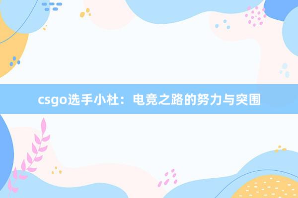 csgo选手小杜：电竞之路的努力与突围