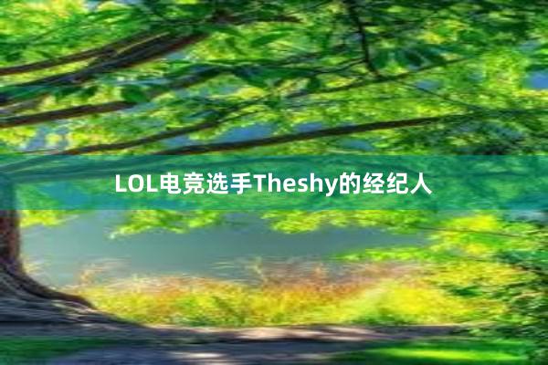 LOL电竞选手Theshy的经纪人