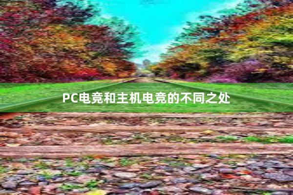 PC电竞和主机电竞的不同之处