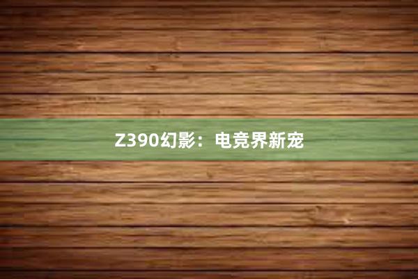 Z390幻影：电竞界新宠