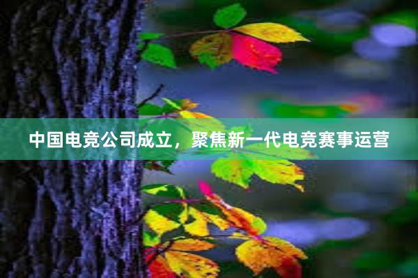 中国电竞公司成立，聚焦新一代电竞赛事运营