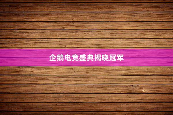 企鹅电竞盛典揭晓冠军