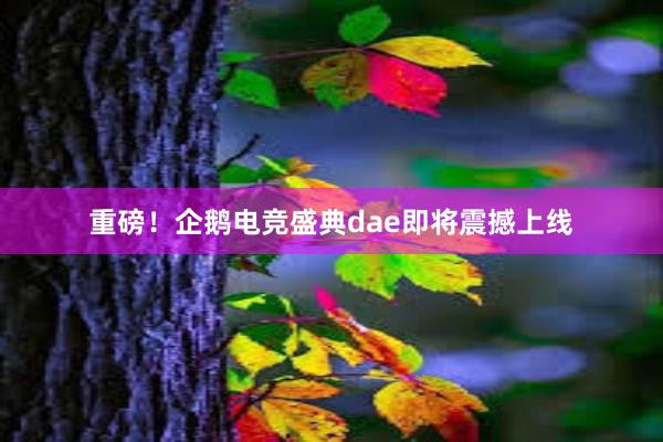 重磅！企鹅电竞盛典dae即将震撼上线