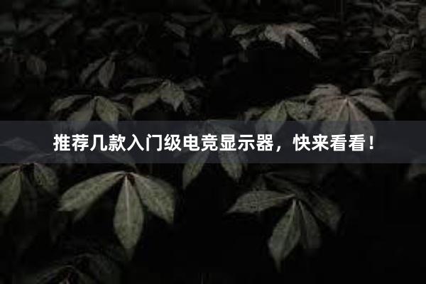 推荐几款入门级电竞显示器，快来看看！