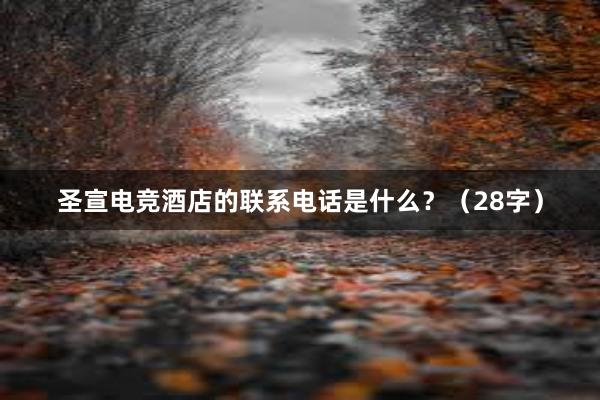 圣宣电竞酒店的联系电话是什么？（28字）