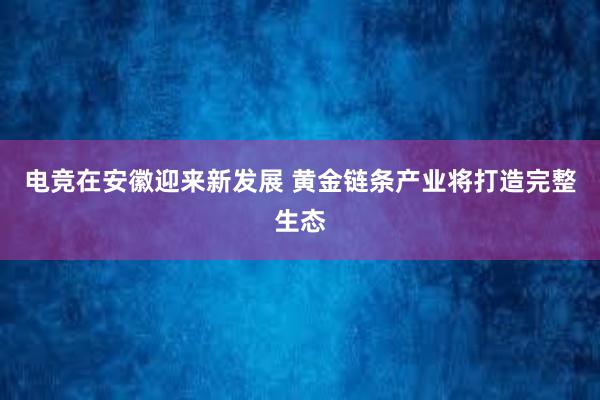 电竞在安徽迎来新发展 黄金链条产业将打造完整生态