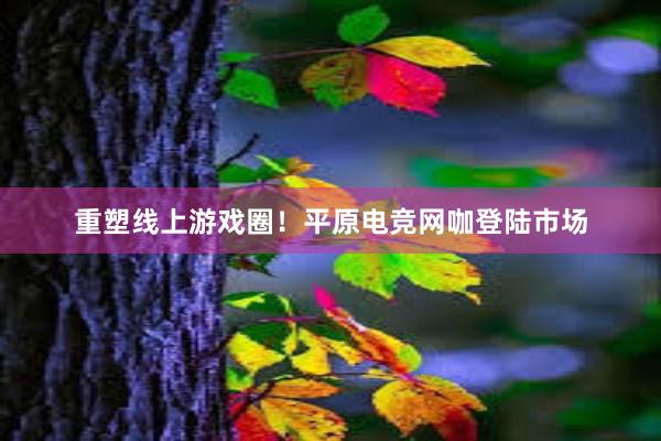 重塑线上游戏圈！平原电竞网咖登陆市场