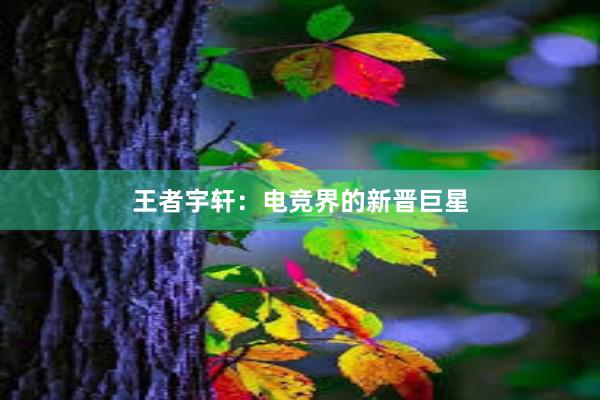 王者宇轩：电竞界的新晋巨星