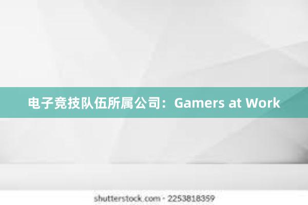 电子竞技队伍所属公司：Gamers at Work