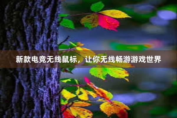 新款电竞无线鼠标，让你无线畅游游戏世界