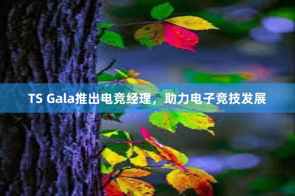 TS Gala推出电竞经理，助力电子竞技发展