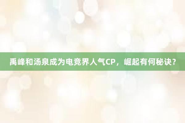 禹峰和汤泉成为电竞界人气CP，崛起有何秘诀？