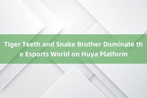 Tiger Teeth and Snake Brother Dominate the Esports World on Huya Platform