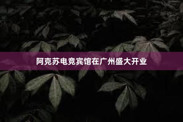 阿克苏电竞宾馆在广州盛大开业