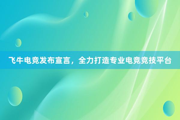 飞牛电竞发布宣言，全力打造专业电竞竞技平台