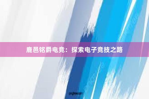 鹿邑铭爵电竞：探索电子竞技之路